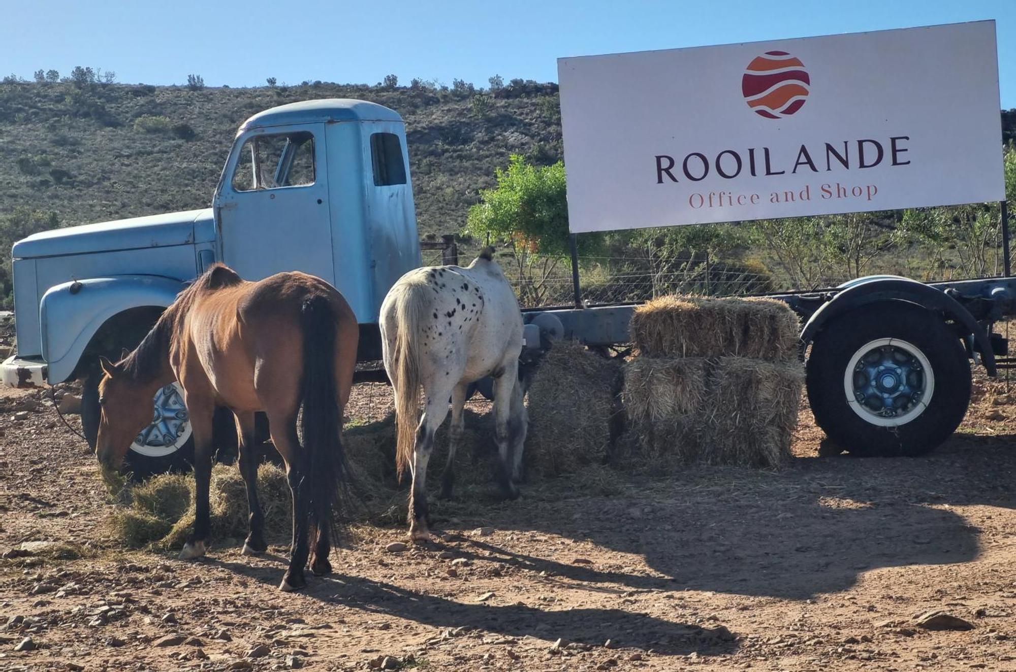 Rooilande Guest Farm Apartment Laingsburg Bagian luar foto